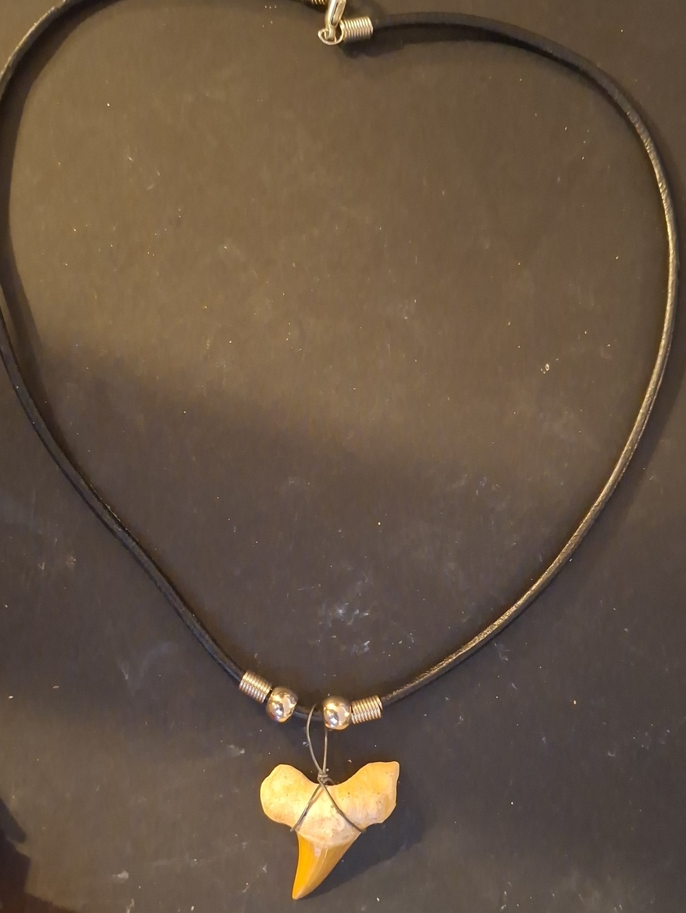 Vintage Shark Tooth Necklace